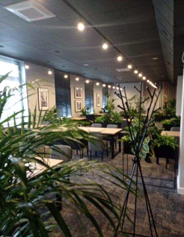 Hotel Ior بوزنان المظهر الخارجي الصورة